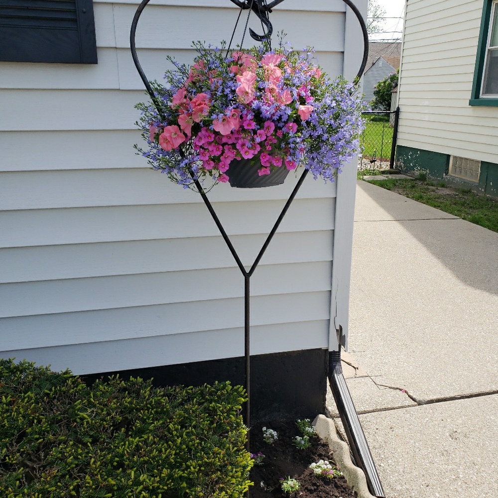 Meet your Posher, Charlene